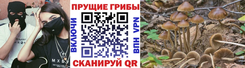 Галлюциногенные грибы ЛСД  Купить  Константиновск 